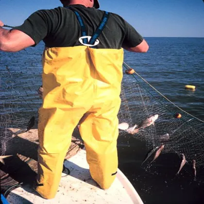 Polyethylene Monofilament Gill Net