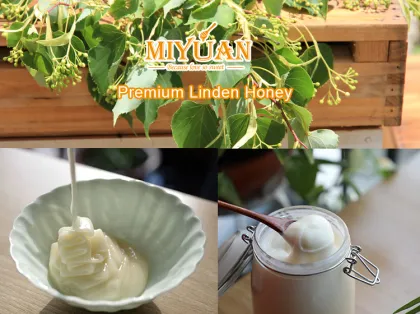Premium Linden Honey from China raw natural lime honey supply