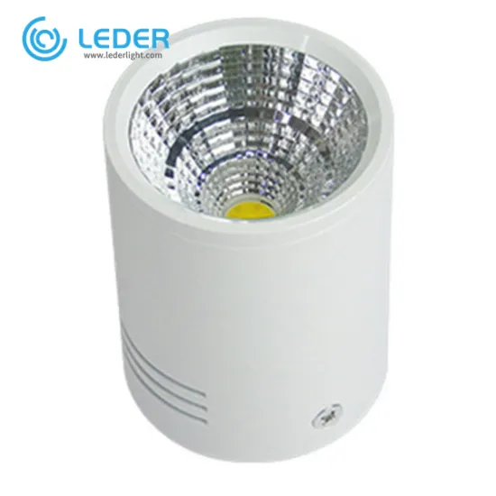 LEDER Dimmable Decorative White 3W LED Downlight