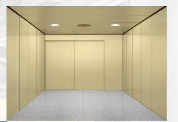 Large Open Door Hospital Elevator for Bed Use