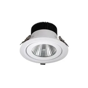 Chinese Supplier LED donwlight 10W COB