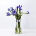 /msite/products/detail/productid/62266326/id/1495689.html