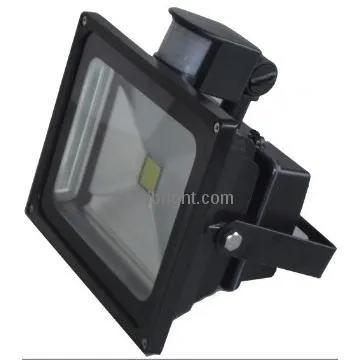 10W LED induction floodlight
