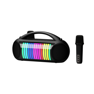 2024 Hot Selling Karaoke Speakers with LED Lights - Hi-Fi Audio for Indoor and Outdoor Use