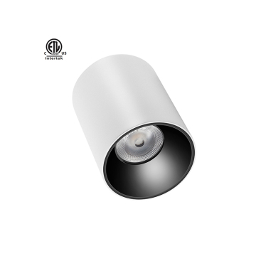 Outdoor IP65 Waterproof COB Cylinder Downlight - Adjustable Surface Mount LED Light