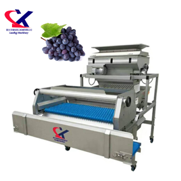 Industrial Automatic Grape Destemmer Machine for Commercial Use