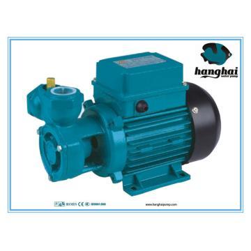 Clean Water Pump