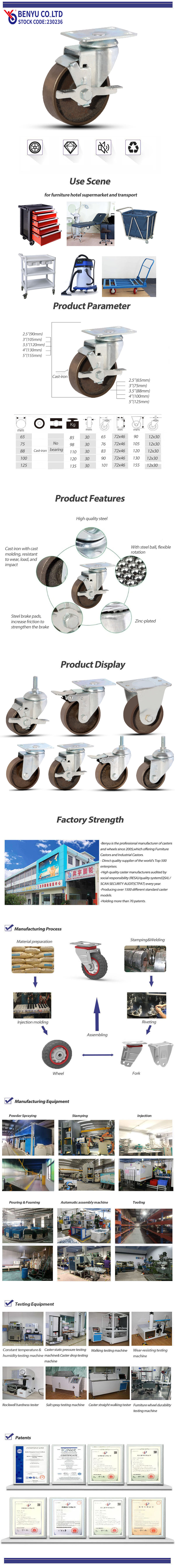 Cast Iron Caster