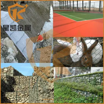 Pvc coated rabbit cage wire