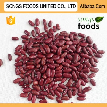 Chinese Kidney Beans, Dark Red Kidney Beans
