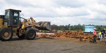 Palm Oil Production Project