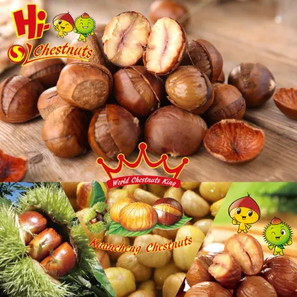 Roasted Ringent Chestnut Healthy Nuts Snacks