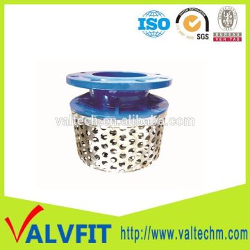 DI pump rose strainer with ss basket strainer