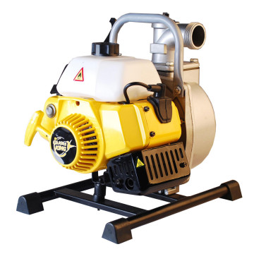 1 Inch Small Water Pump