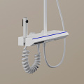 White Digital Display Light Bathroom Rainfall Shower Set