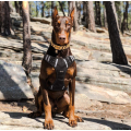 Big Large Dog Harness