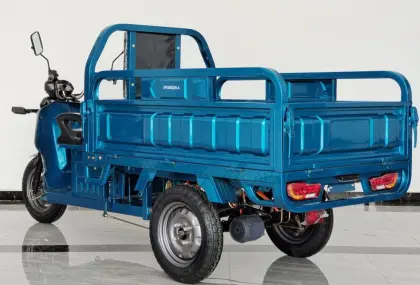 Strong driving force Three Drive Electric Tricycle