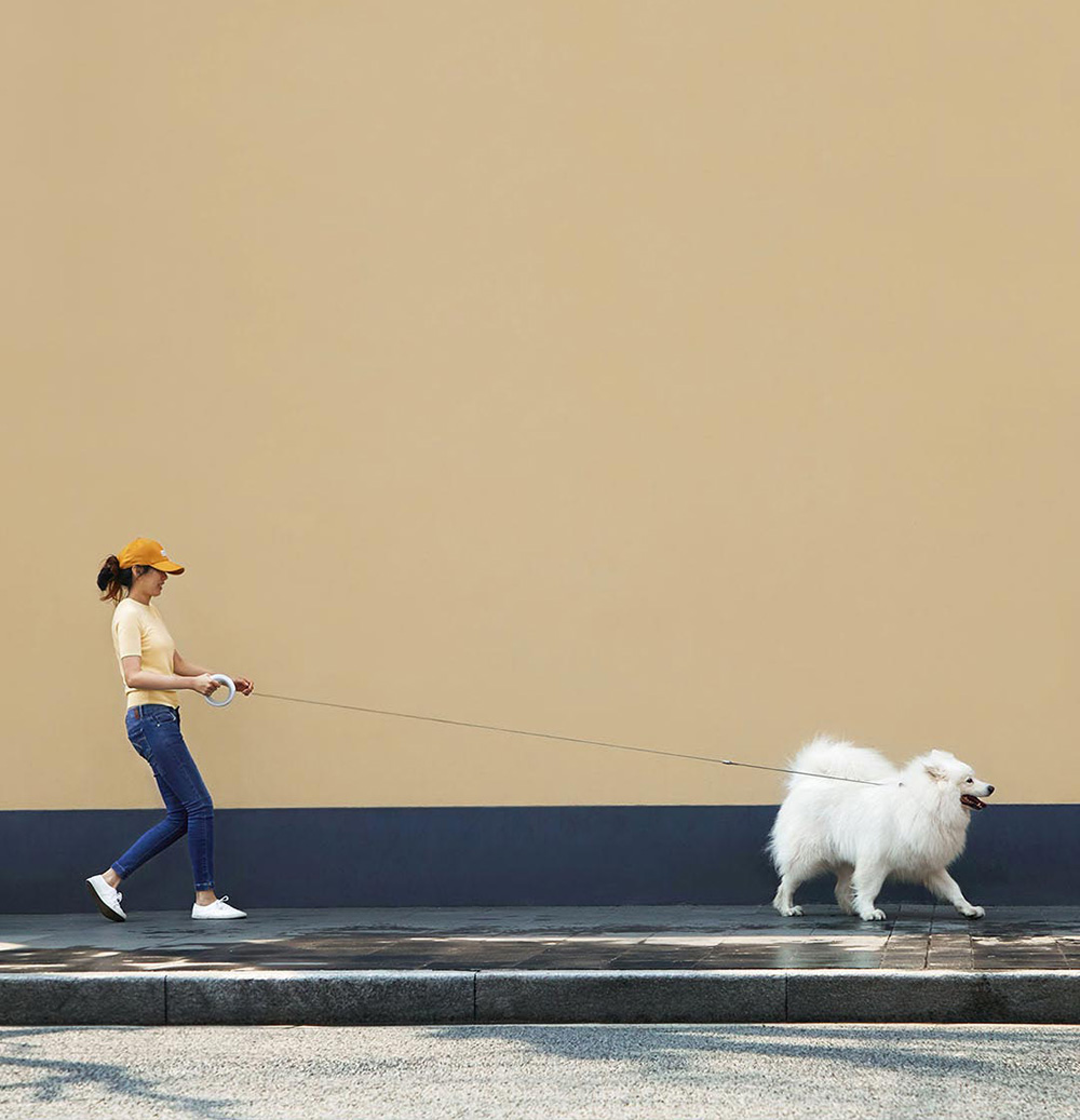 Xiaomi 3 0m Dog Traction Rope Pet Xiaomi 3 0m Dog Traction Rope Pet