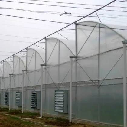 Agriculture Multi Span Film Greenhouse