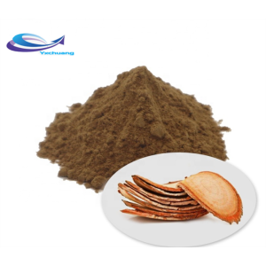 Natural Echinacea Angustifolia Purpurea Root Extract Powder