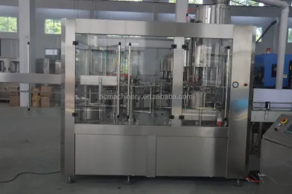 Automatic Monobloc Drinking Water Filling Machine for Mineral, Pure, and Spring Water