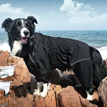 Pet dog raincoat that covers belly