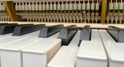 Professional grading piano for sale