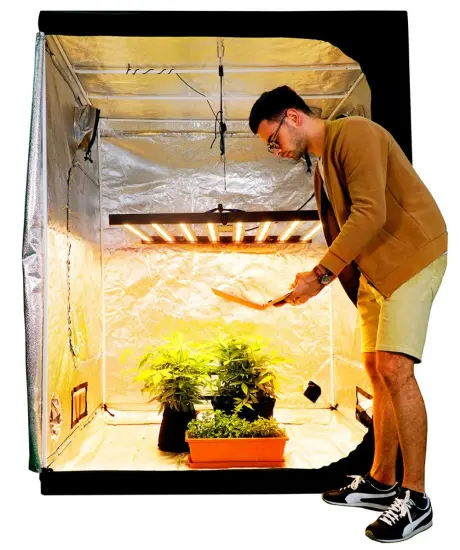 Samsung Led Grow Light Indoor 600Watt