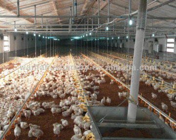 high quality automatic poultry equipment for chicken