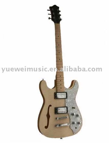 Electric Guitar musical instrument