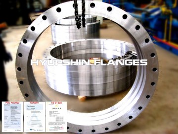 PN40 DIN BS4504 EN1092-1 PLFF PLRF A105 Flange