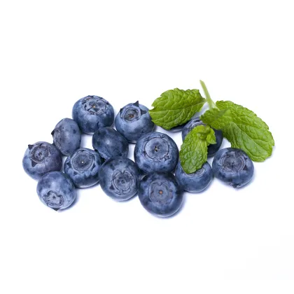 Hi-Q blueberry fruit powder