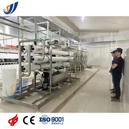 Vegetable and Fruit Enzyme Processing Line: Drinking Enzyme Making Machine Turnkey Solution