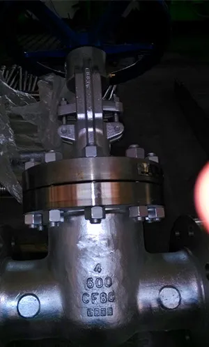 CF8C GATE VALVE,600LB,DN100,RF