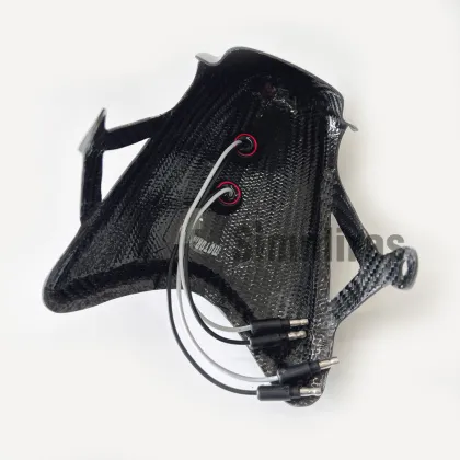 Motorcycle HAYABUSA TAILLIGHT INSERT Carbon