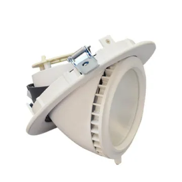 led downlight rotatable from Rise lighting COB Cree with Lifud driver