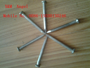 Concrete Steel Nail