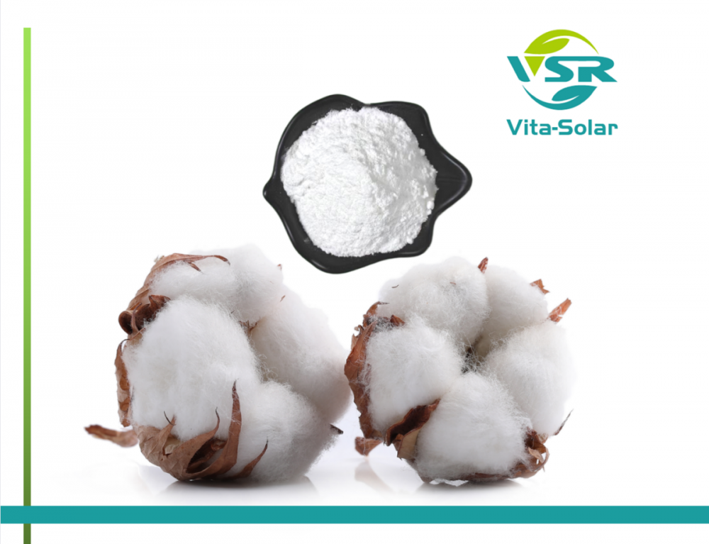 Cottonseeds Sterol