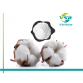 Cottonseeds plant sterol high quality