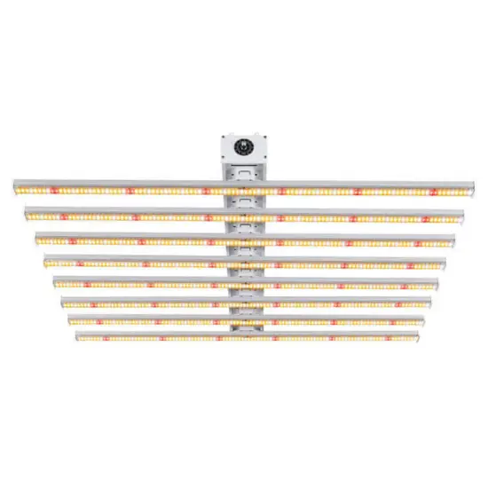 Minimal Indoor Plants Grow Light