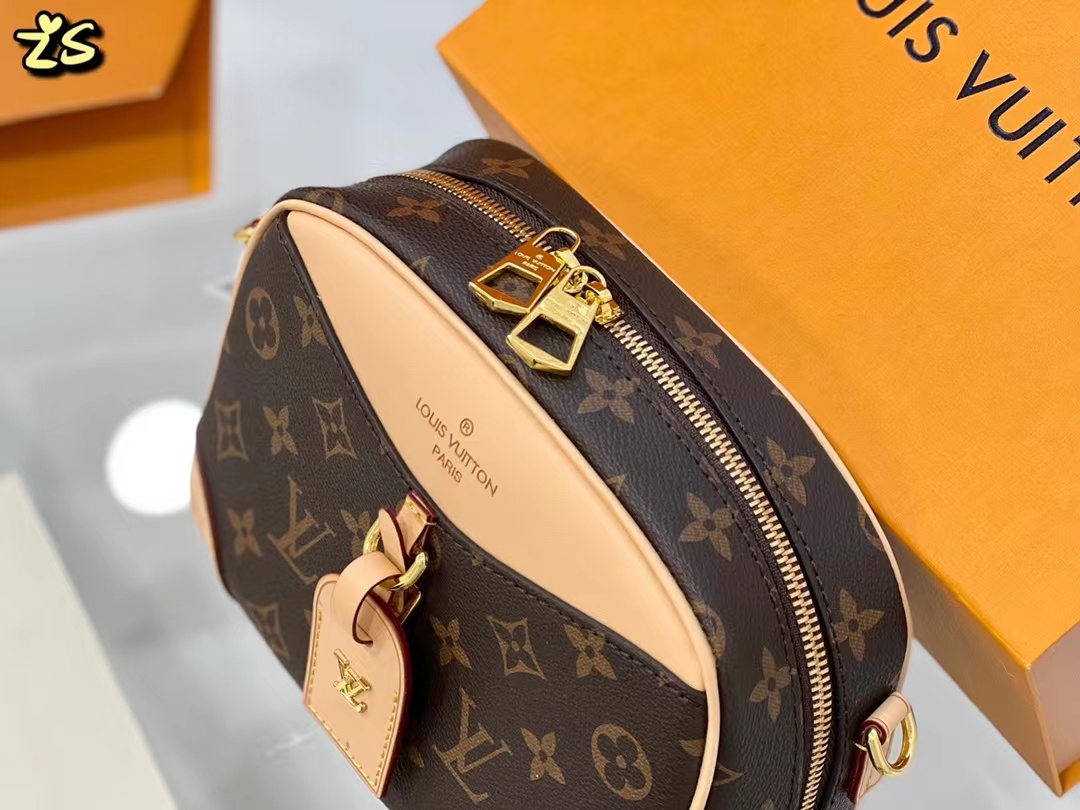 LV handbag (1)