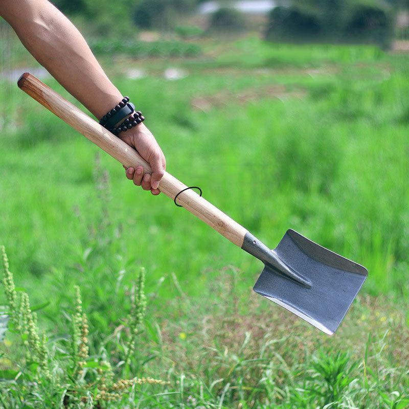 Agricultural Digging Horticultural Flower Shovel Stainless Steel Spade Thickened All-Steel Flat Shovel