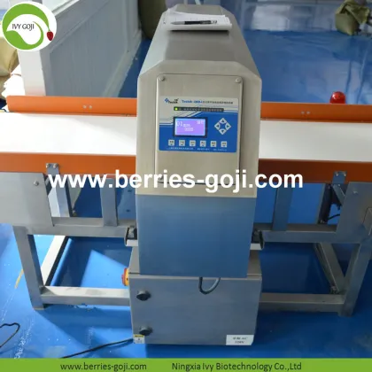 Supply Bulk Nutrition Dried Nut Pumpkin Kernels