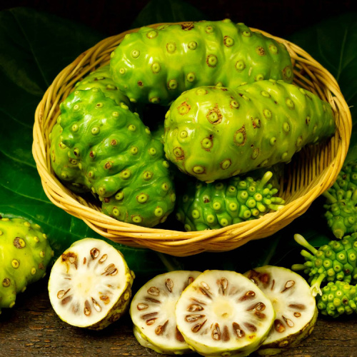 Natural Fresh Hot Selling Noni Fruit Extract Powder