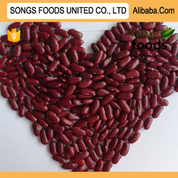 Good Quality Red Kidney Beans