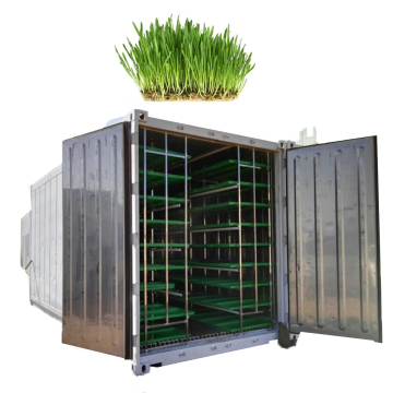 Fodder System Container Hydroponics: Efficient Urban Farming Solutions