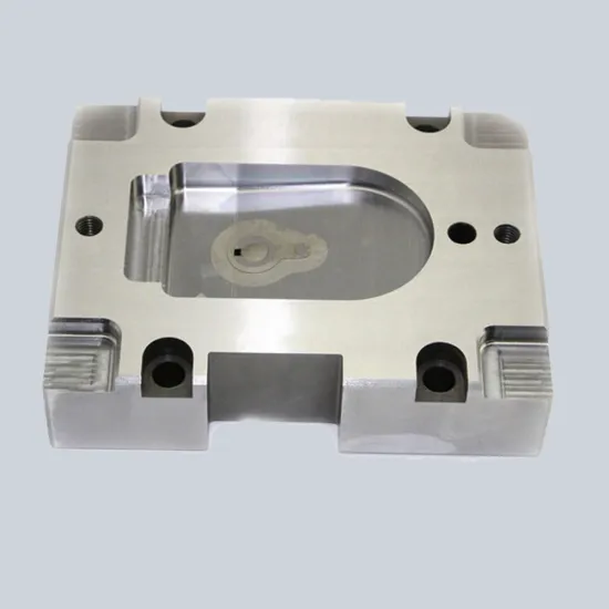 Plastic Injection Mould Insert