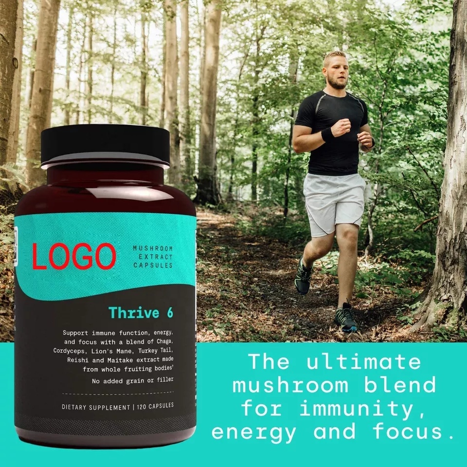 Private Label Nootropic Ginkgo biloba Bacopa monnieri Mushroom capsules Vegan DHA Brain Booster Supplements capsules