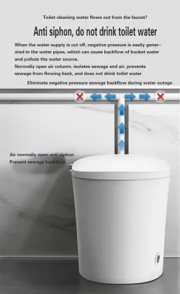 Features of smart toilet