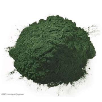 Spirulina Protein Powder 60% Sports Health Material